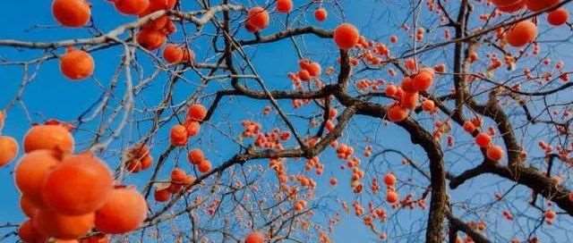 低至2.1万？盘点各省*便宜的MBA！